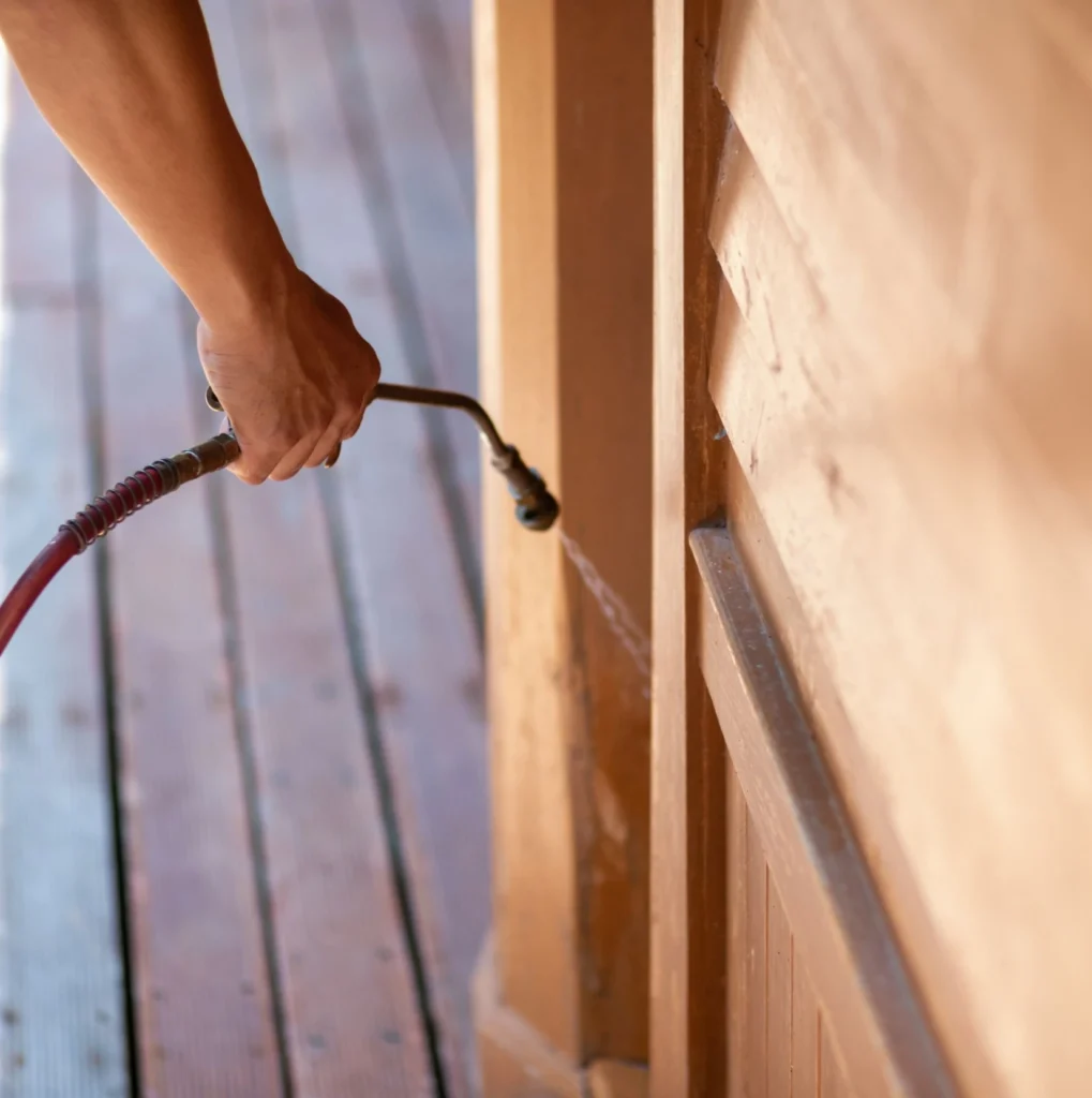 Trusted Pest Control - Deer Park Pest Control Pros | Deer Park, NY